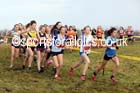 Girls under-15s North Eastern Cross Country, Aykley Heads, Durham. Photo: David T. Hewitson/Sports for All Pics
